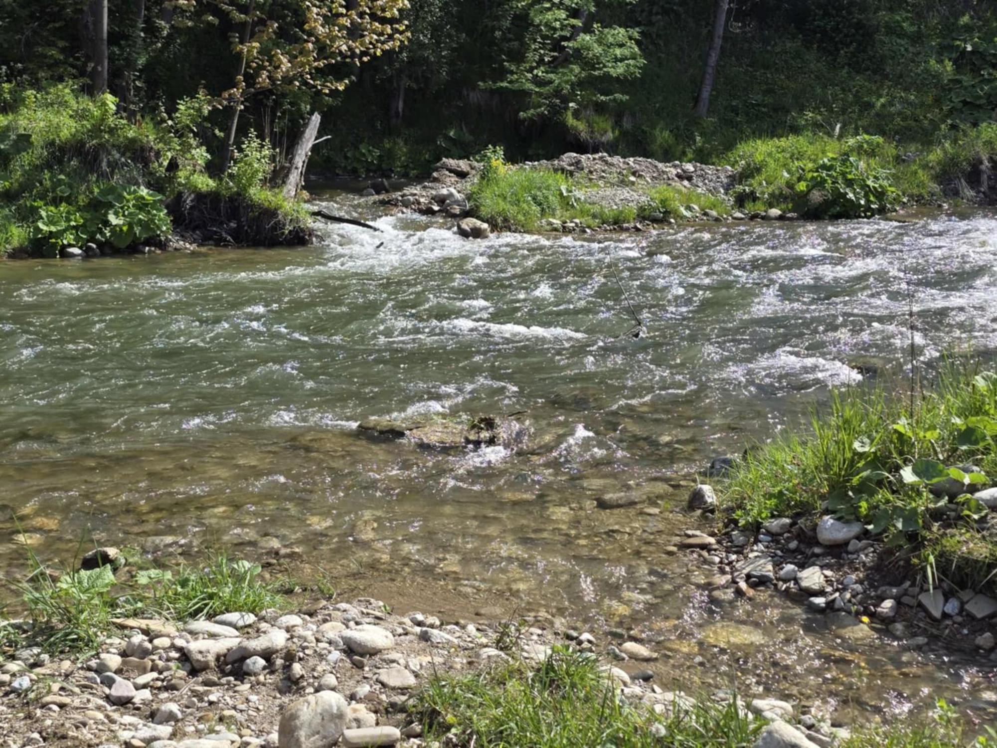 Chocholowska Zohylina Pokoje I Domek Esterno foto